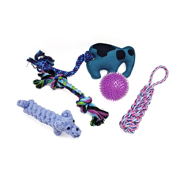 Conjunto de 5 brinquedos para cães